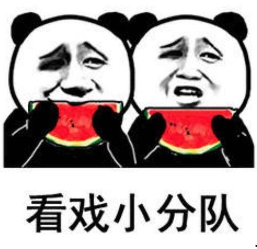 吃瓜表情包怎么回复,轻松幽默的社交互动新方式